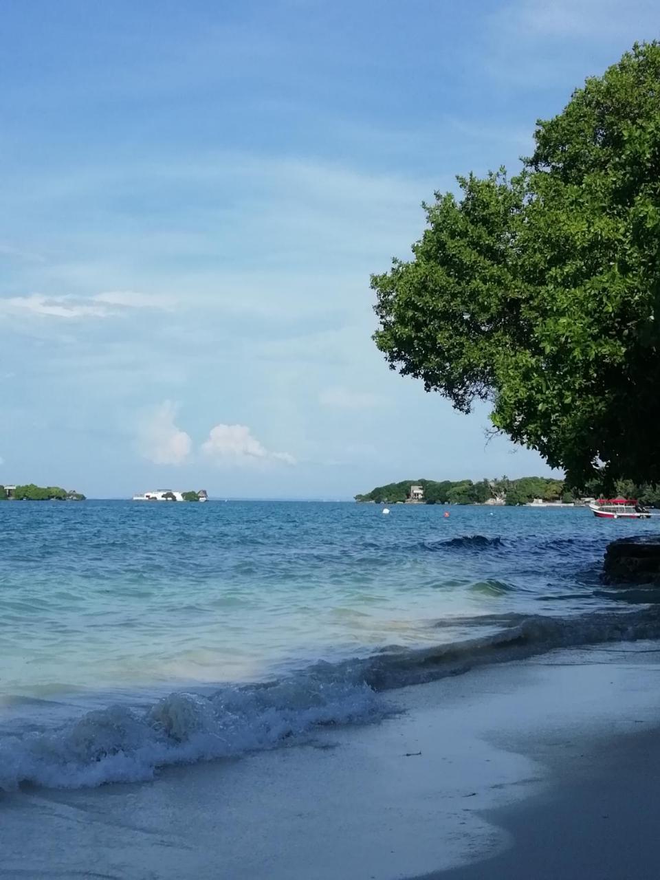 Eco Hotel Campo Verde Isla Grande  Buitenkant foto